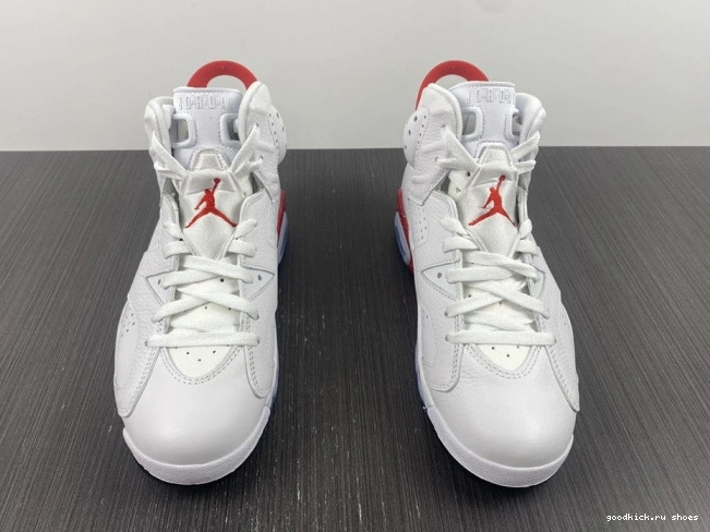 Rep Retro 6 Hare Jordan CT8529-162 0629